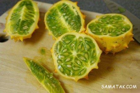 خواص خربزه شاخدار خواص خربزه شاخدار