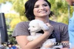 کدام بازیگران سگ دارند 44 1729845496 samatak com