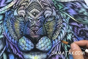 نقاشی حیوانات اهلی و وحشی 40 513888292 samatak com