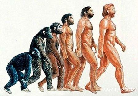 انسان های اولیه چگونه زندگی می کردند انسان های اولیه چگونه زندگی می کردند