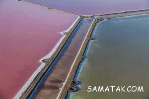 748703229 samatak com