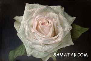 نقاشی های غیر واقعی که واقعی به نظر می رسند 31 708994179 samatak com