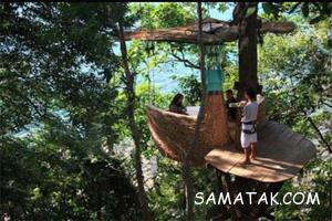 هتل رویایی بالای درخت شبیه لانه پرنده + تصاویر 23 1092593600 samatak com