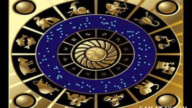 136737622 samatak com