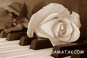 اس ام اس های آموزنده و کوتاه 10 963153238 samatak com
