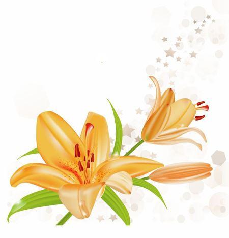عکس گل برای کارت پستال عکس گل برای کارت پستال