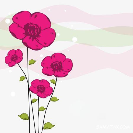 عکس گل برای کارت پستال عکس گل برای کارت پستال