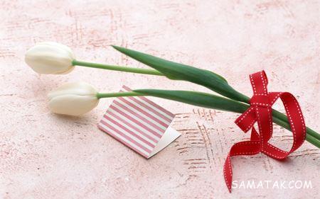 عکس گل برای کارت پستال عکس گل برای کارت پستال