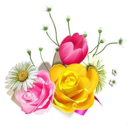 عکس گل برای کارت پستال عکس گل برای کارت پستال