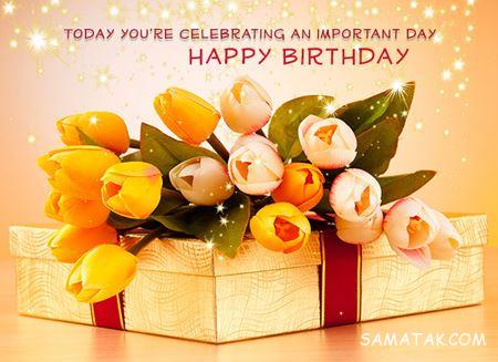 عکس گل برای کارت پستال عکس گل برای کارت پستال
