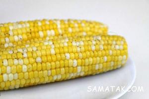 آموزش تصویری تهیه ذرت کره ای با فلفل 1 114733538 samatak com