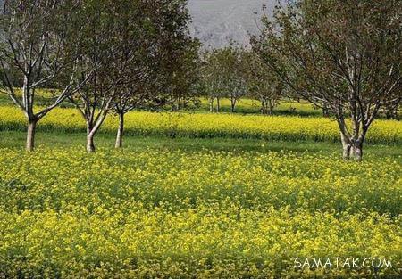 عکس های زیباترین زنان و دختران لر در طبیعت لرستان عکس های زیباترین زنان و دختران لر در طبیعت لرستان