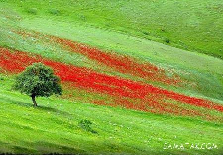 عکس های زیباترین زنان و دختران لر در طبیعت لرستان عکس های زیباترین زنان و دختران لر در طبیعت لرستان