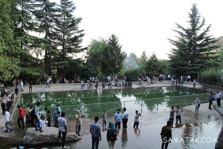 پارک های خلوت و دنج تهران برای ملاقات عاشقانه زوجین پارک های خلوت و دنج تهران برای ملاقات عاشقانه زوجین