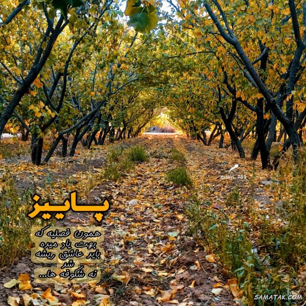 پیام تبریک آغاز پاییز پیام تبریک آغاز پاییز