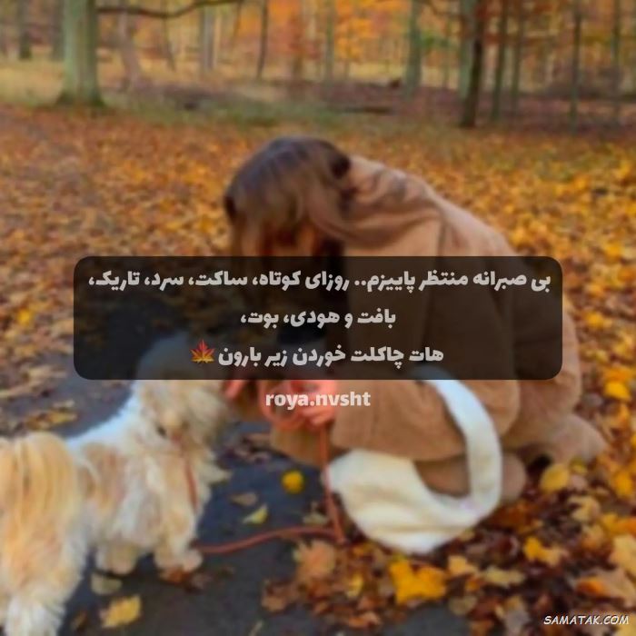 عکس پاییزی غمگین | عکس نوشته پاییزی غمگین