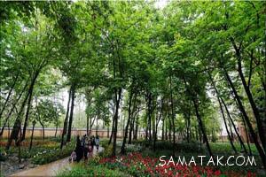 پارک های خلوت و دنج تهران برای ملاقات عاشقانه زوجین 1 43084756 samatak com