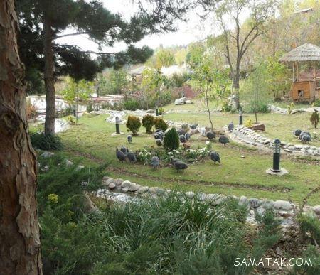 پارک های خلوت و دنج تهران برای ملاقات عاشقانه زوجین پارک های خلوت و دنج تهران برای ملاقات عاشقانه زوجین