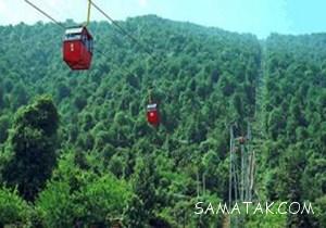 292490443 samatak com