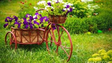 عکس های بک گراند موبایل برای گوشی اپل و اندروید 33 2097018295 samatak com