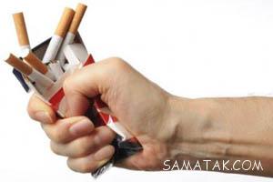 272820416 samatak com