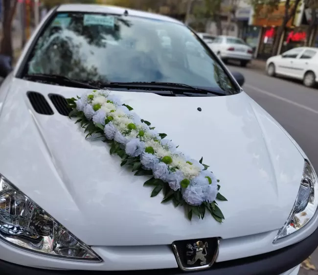 ماشین عروس ۲۰۶ 16