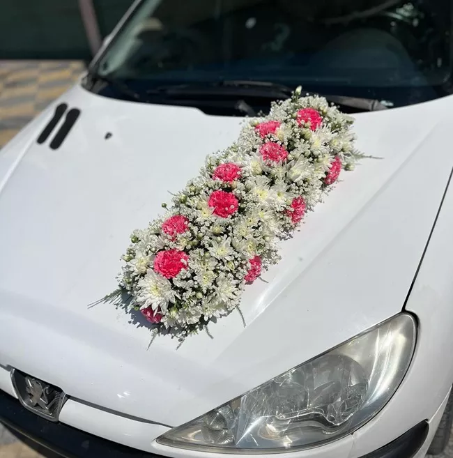 ماشین عروس ۲۰۶ 8