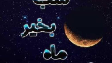 2075008046 samatak com