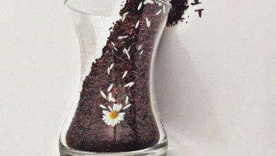 شعرهای زیبا درباره پستی و بلندی های زندگی 6 450007964 samatak com