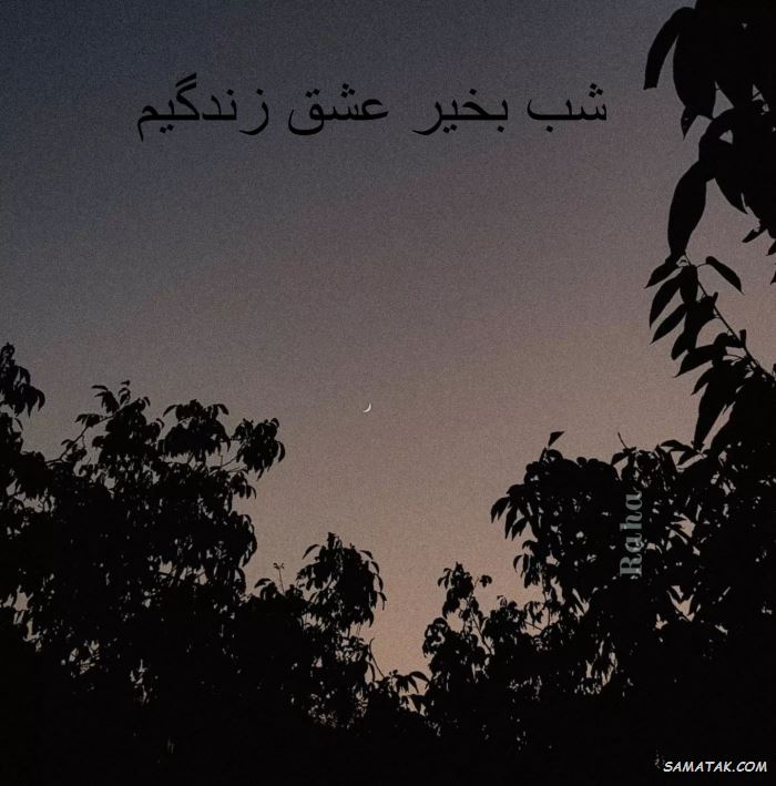 عکس نوشته شب بخیر عاشقانه و زیبا