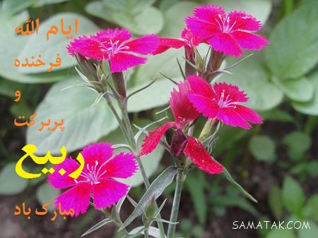 عکس نوشته تبریک حلول ماه ربیع الاول برای پروفایل عکس نوشته تبریک حلول ماه ربیع الاول برای پروفایل