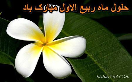 عکس نوشته تبریک حلول ماه ربیع الاول برای پروفایل عکس نوشته تبریک حلول ماه ربیع الاول برای پروفایل