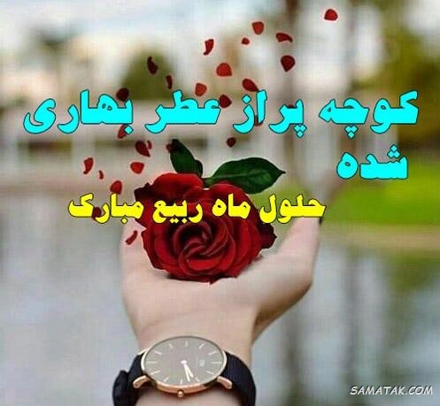 عکس نوشته تبریک حلول ماه ربیع الاول برای پروفایل عکس نوشته تبریک حلول ماه ربیع الاول برای پروفایل