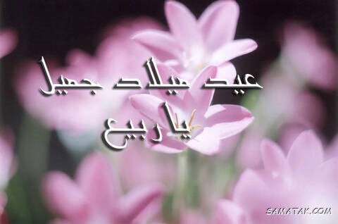 عکس نوشته تبریک حلول ماه ربیع الاول برای پروفایل عکس نوشته تبریک حلول ماه ربیع الاول برای پروفایل