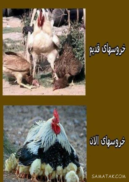 عکس نوشته های خنده دار جدید باحال طنز خفن جالب