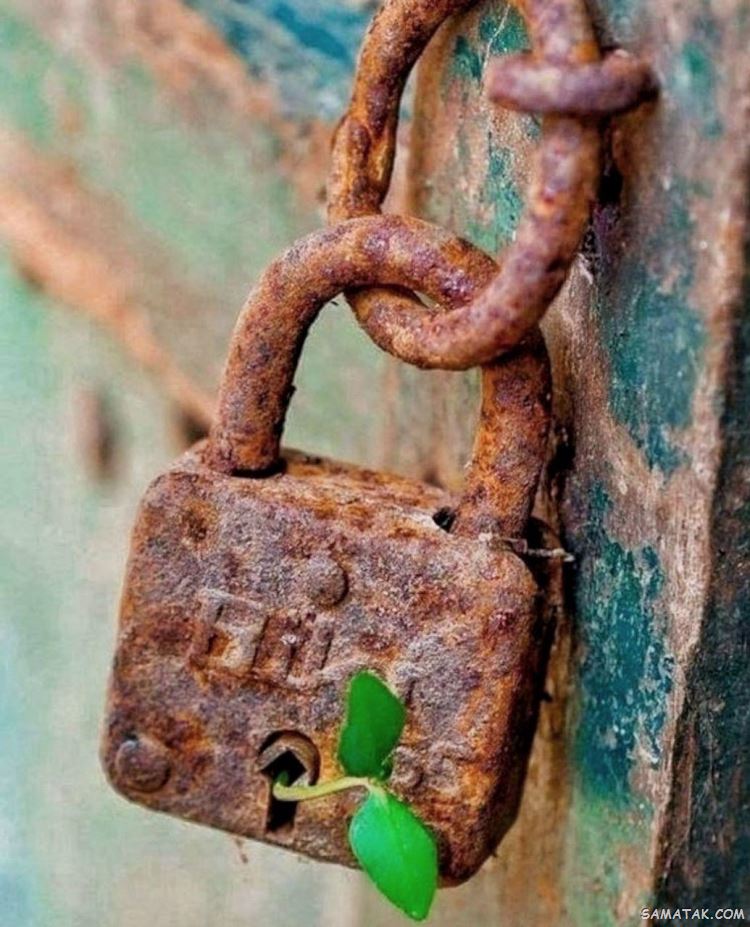 110 عکس عاشقانه بدون متن خفن 82 عکس عاشقانه بدون متن خارجی