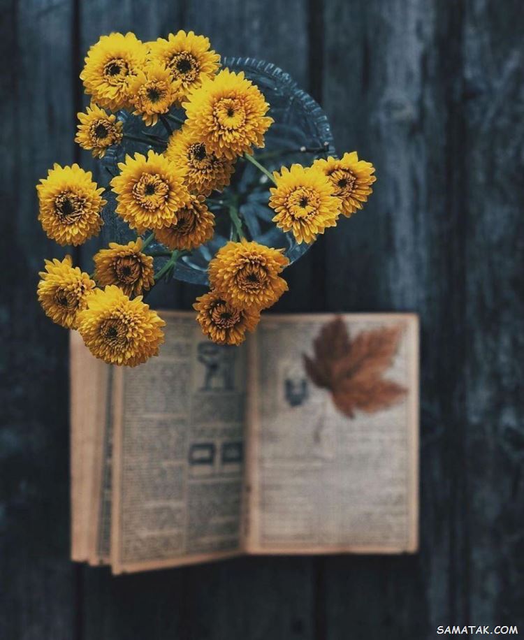 عکس نوشته زیبا برای پروفایل