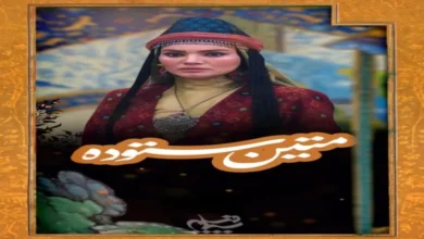 بیوگرافی متین ستوده و همسرش 5 بیوگرافی متین ستوده