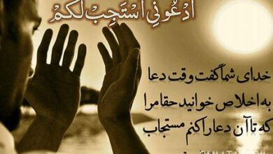 558552984 samatak com