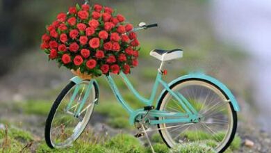 زیباترین متن های ادبی جهان 197 862564802 samatak com