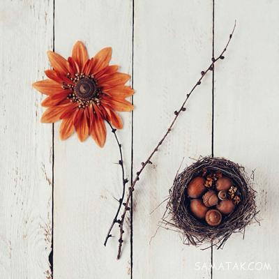 زیباترین متن های ادبی جهان زیباترین متن های ادبی جهان