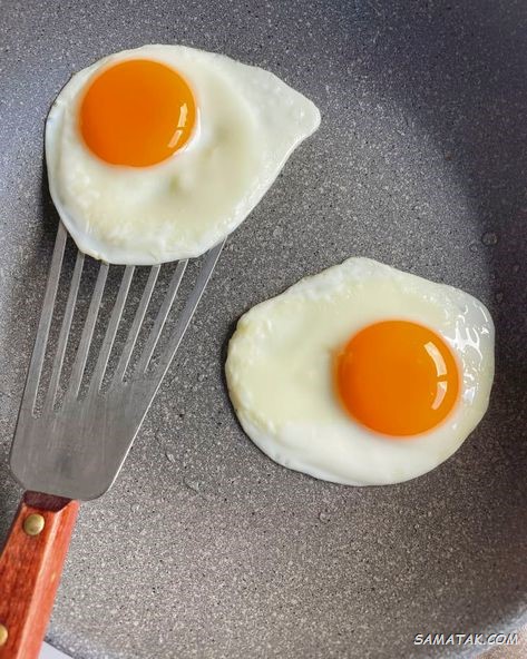 تزیین نیمرو برای مدرسه و کودک