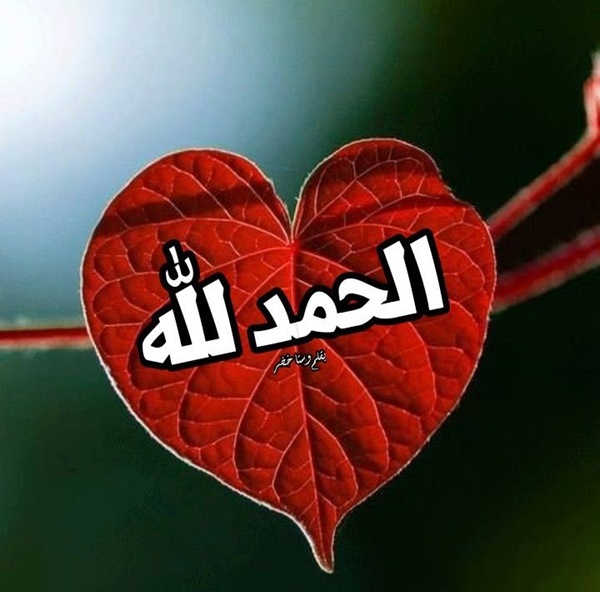 الحمدلله