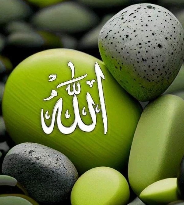 پروفایل اسم خدا جدید