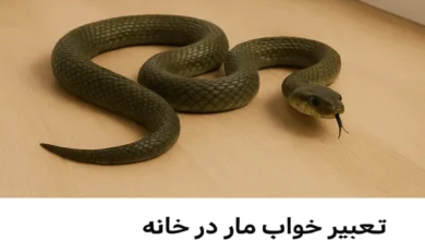 تعبیر خواب مار در خانه و کشتن آن 10 تعبیر خواب مار در خانه