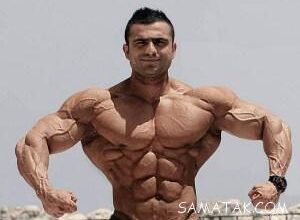 عکس قهرمانان ورزش بدنسازی پرورش اندام جهان 44 1764409400 samatak com