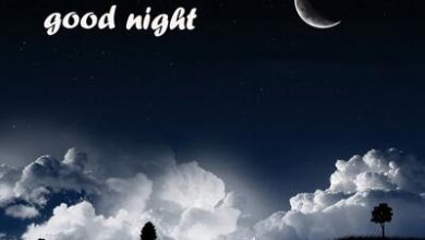 شب بخیر گفتن به دوست دختر + متن شب بخیر برای دوست دختر 6 739004868 samatak com