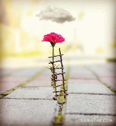 سخنان بلند عمیق و پر معنی سخنان بلند عمیق و پر معنی