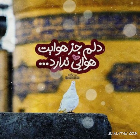 متن زیبا برای زائر مشهد + پیامک زیارت قبول و التماس دعا مشهد