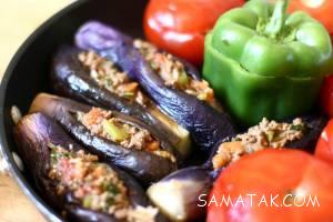 420312910 samatak com